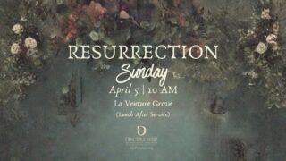 Because He ROSE, everything changes. Guilt shattered. Chains broken. The same power that rolled away the stone is still rolling obstacles out of your way. Death couldn’t hold Him — so grief, fear, shame, and every “I can’t” don’t get to hold you either.

This Easter, step into the full resurrection story with us in the most beautiful setting — open skies, river breezes, and God’s living masterpiece all around.

You’re invited!
🌿 La Venture Grove
📍 Along the St. Johns River
📅 Sunday, April 5 | 10:00 AM

#ResurrectionSunday #HeIsRisen #EasterAtStJohns #stjohnsdcc