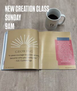 Join us this Sunday for one of our favorite GROW CLASSES on Biblical Foundations! Class is at 9am - “Sunday School Style.” 

🔗 Sign up on our website to purchase your book.