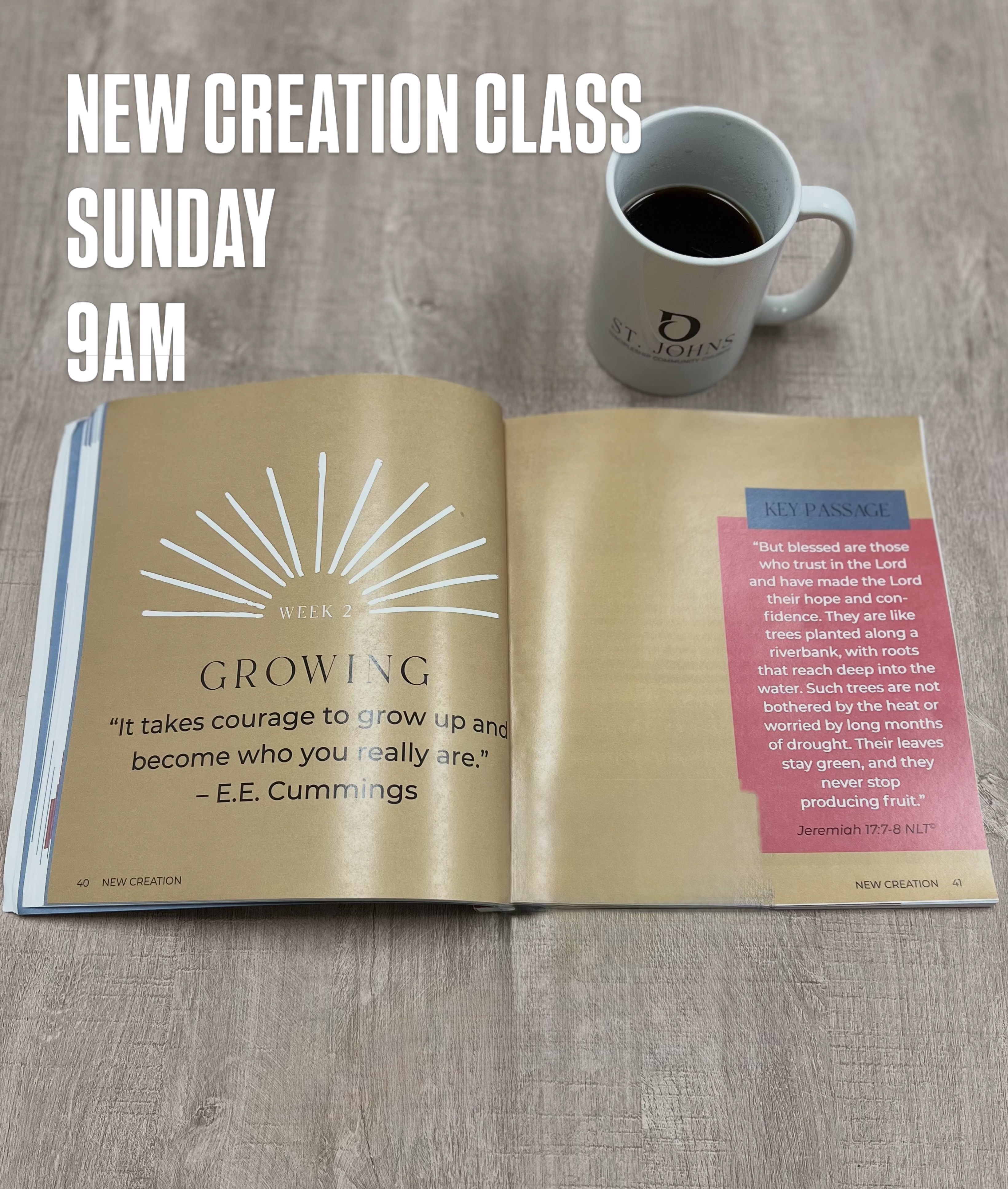 Join us this Sunday for one of our favorite GROW CLASSES on Biblical Foundations! Class is at 9am - “Sunday School Style.” 

🔗 Sign up on our website to purchase your book.