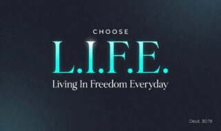 Hey- guess what?
➡ Survival mode is over.
➡ God didn’t say “endure life.”
➡ He said CHOOSE it.

This Sunday we start Choose L.I.F.E. — and it begins with one decision:
⏗ Rise.
⏗ Stop letting the hard place write your story.
⏗ Stop settling.
⏗ Start rising.

Let's RISE together!
🌿 La Venture Grove | 10 AM
Along the St. Johns River

Tap the link in bio for this week’s Happenings.

#ChooseLIFE #RiseUp #FreedomEveryday #NoMoreSurvival #stjohnsdcc