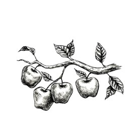 Fruit-blog