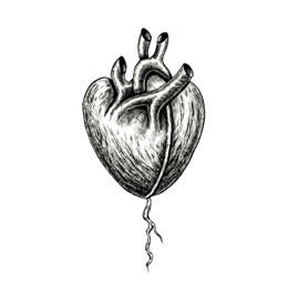 Heart-blog