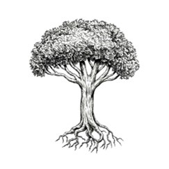 Tree-blog
